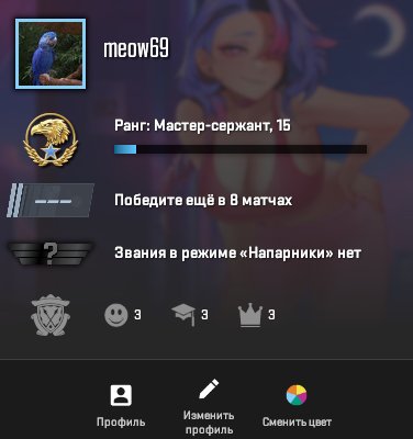 🌟 CS2 Prime | 🥇 Rank 15 | 🕒 1300 hours — Ready for Competitions