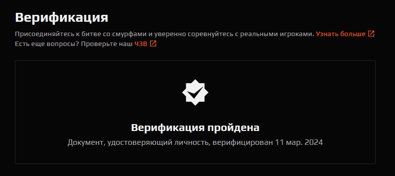 🔥 Faceit LVL 4 | 🕒 300 hours — Ready for Ranked Matches