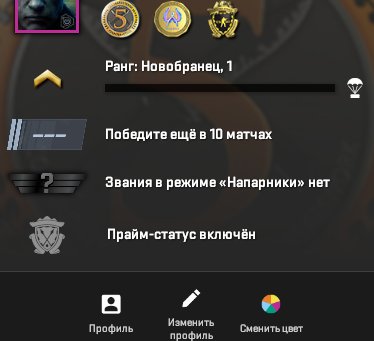 🏆 CS2 Prime | 🎯 Faceit LVL N/A | 🕒 0 hours — Ready for games