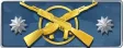 Master Guardian Elite