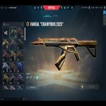 🎯 Valorant account | Platinum 1 | EU | 27 agents