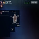 🏅 MMR 3500 | 🕒 800 hours | 🛡 10000