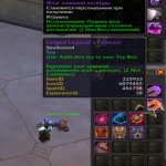 🎮 WoW account | Level 80 | Horde | Any server