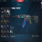 🎯 Valorant акаунт | Ранжування заблоковано | EU | 10 агентів