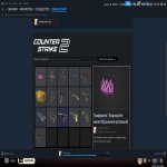 ⚡ FACEIT LVL 10 | 🎯 ELO 2164 | 🕒 821 матч — Готовий до змагань