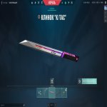 🎯 Valorant account | Ascendant 1 | EU | 28 agents