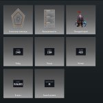 🏅 MMR 2613 | 🕒 4632 годин | 🛡 12000