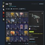 🎯 Faceit LVL 10 | 💎 2206 ELO | 🕒 219 matches — Ready for competitive!