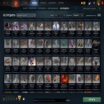 🏅 MMR 5190 | 🕒 400 hours | 🛡 12000