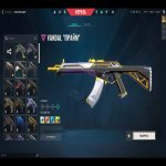 🎯 Valorant account | Silver 1 | EU | 28 agents