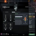 🏅 MMR 5814 | 🕒 1011 hours | 🛡 8073