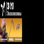 🎨 59 skins | 🌟 Fortnite account