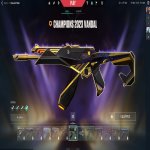 🎯 Valorant account | Gold 1 | EU | 17 agents