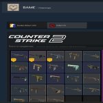 🏆 FACEIT 10 LVL | 🎯 2796+ ELO | 🕒 1100+ матчів — Готовий до змагань