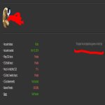 🎮 CS2 Prime | 🎯 Faceit LVL 2 | 🕒 22 hours — Ready for Ranked Matches!