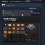 🎖 FACEIT LVL 10 | 🔱 PRIME | 🕒 5000 часов — Готов к соревновательной игре!