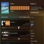 🔥 Прайм | 🎯 Faceit LVL 10 | 🕒 301 матч — Готовий до змагальної гри!