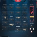 🎯 Valorant account | Ranked unlocked | EU | 8 agents