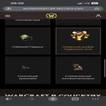 🎮 WoW account | Level 80 | Horde | Howling Fjord