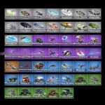 🎨 30 скінів | 🌟 Fortnite акаунт