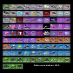 🎨 87 скінів | 🌟 Fortnite акаунт