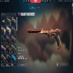 🎯 Valorant account | Platinum 3 | EU | 23 agents