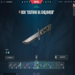 🎯 Valorant account | Platinum 2 | EU | 20 agents