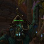 🎮 WoW account | Level 60 | Alliance | Draenor