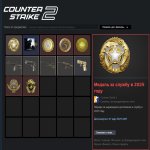 🔥 FACEIT LVL 5 | 🏆 2312 ELO | 🕒 250 hours — Ready for Competitive Matches!