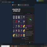 💎 CS Prime | 🎯 Faceit LVL 4 | 🕒 400 hours — Ready for matches!