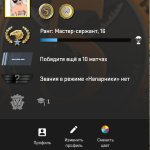 🎮 CS2 Prime | 🌟 Ранг 16 | 🎯 Faceit готов | 🕒 245 часов — Готов к рейтинговым матчам!