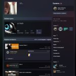 🏆 FACEIT LVL 10 | 📈 ELO 2317 | 🕒 381 матч — Готов к рейтинговым играм