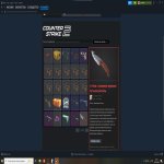 💎 CS Prime | 🎯 Faceit LVL 4 | 🕒 400 hours — Ready for matches!