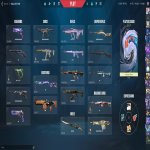 🎯 Valorant account | Platinum 2 | Any | 26 agents