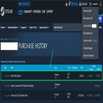 🏆 ВЕРФІКОВАНИЙ FACEIT | 🎯 1000 ELO | CS2 PRIME | Готовий до рейтингових ігор
