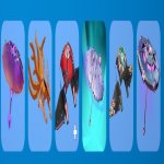 🎨 21 скінів | 🌟 Fortnite акаунт