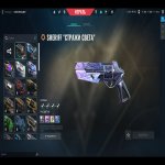 🎯 Valorant account | Platinum 1 | EU | 27 agents