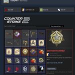 🏆 FACEIT 10 LVL | 🎯 2413 ELO | 🕒 881 matches — Ready for competitive play!