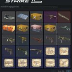 🔥 Premium Account | 🎯 Faceit LVL 9 | 🕒 1100 hours — Ready for Ranked Play