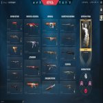 🎯 Valorant account | Rank: Unlocked | EU | 17 agents