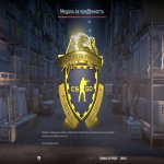 🏆 Rank 9 CS2 | 💎 Profile Level 11 | 🕒 29 hours — Ready for high-level competition!