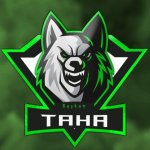 🏅 MMR 374 | 🕒 150 годин | 🛡 12000