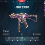 🎯 Valorant акаунт | Не ранг | Any | 27 агентів