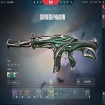 🎯 Valorant account | Bronze | EU | 22 agents