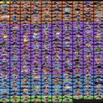 🎨 297 skins | 🌟 Fortnite account