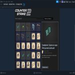 🔥 CS Prime | 🎯 Faceit LVL 5 | 🕒 300 hours — Ready for Ranked