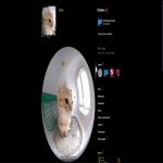 🏆 FACEIT LVL 7 | 🎯 1418 ELO | 🕒 324 матча — Готов к соревнованиям!