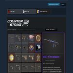 🏆 FACEIT 10lvl | 🎯 2898 ELO | 🕒 4000 hours — Ready for Competitive