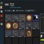 🎯 Faceit LVL 10 | 💎 2206 ELO | 🕒 219 matches — Ready for competitive!