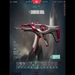 🎯 Valorant account | Rank: Gold 1 | Server: EU | 20 agents